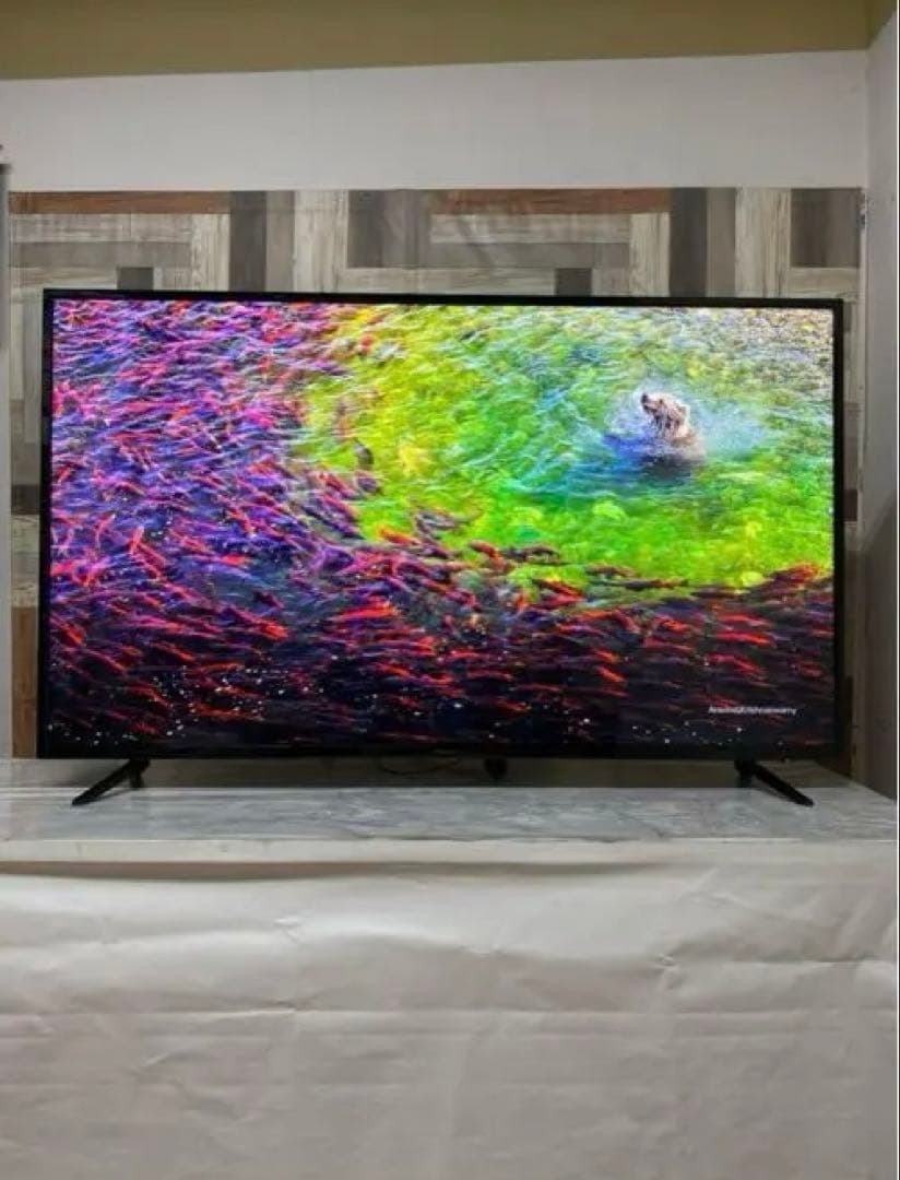 高解像度液晶モニタージャパンネクスト 55型 4K ブルーカット チューナーレス
