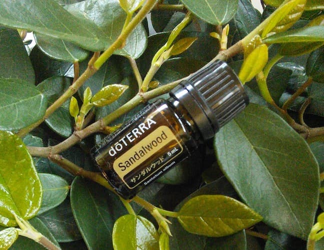 【❗️試香のみ 未使用 最安】ドテラ サンダルウッド 5ml 期26.11 CP