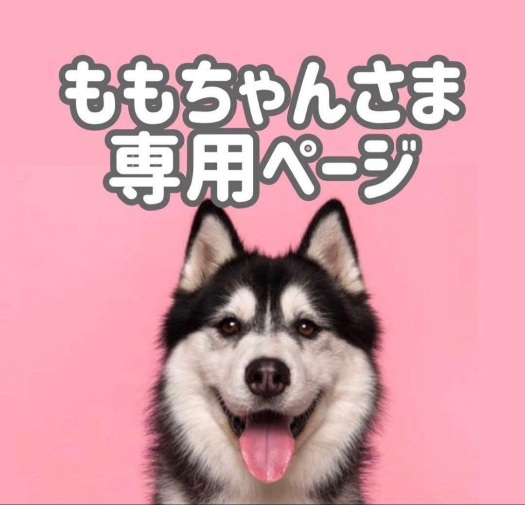 bサ18◯●ももちゃんページ●◯