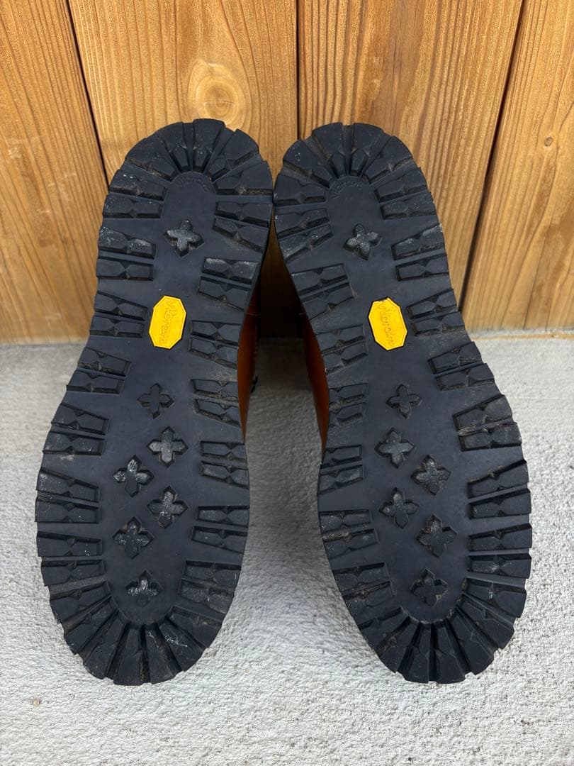 個人装備 US8 DANNER LIGHT 2 CEDAR RAINBOW 12040X