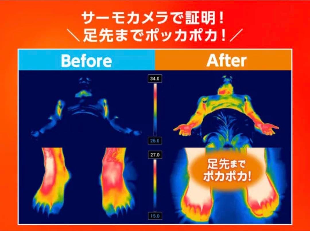 True Sleeper ホオンテック掛け布団　シングル