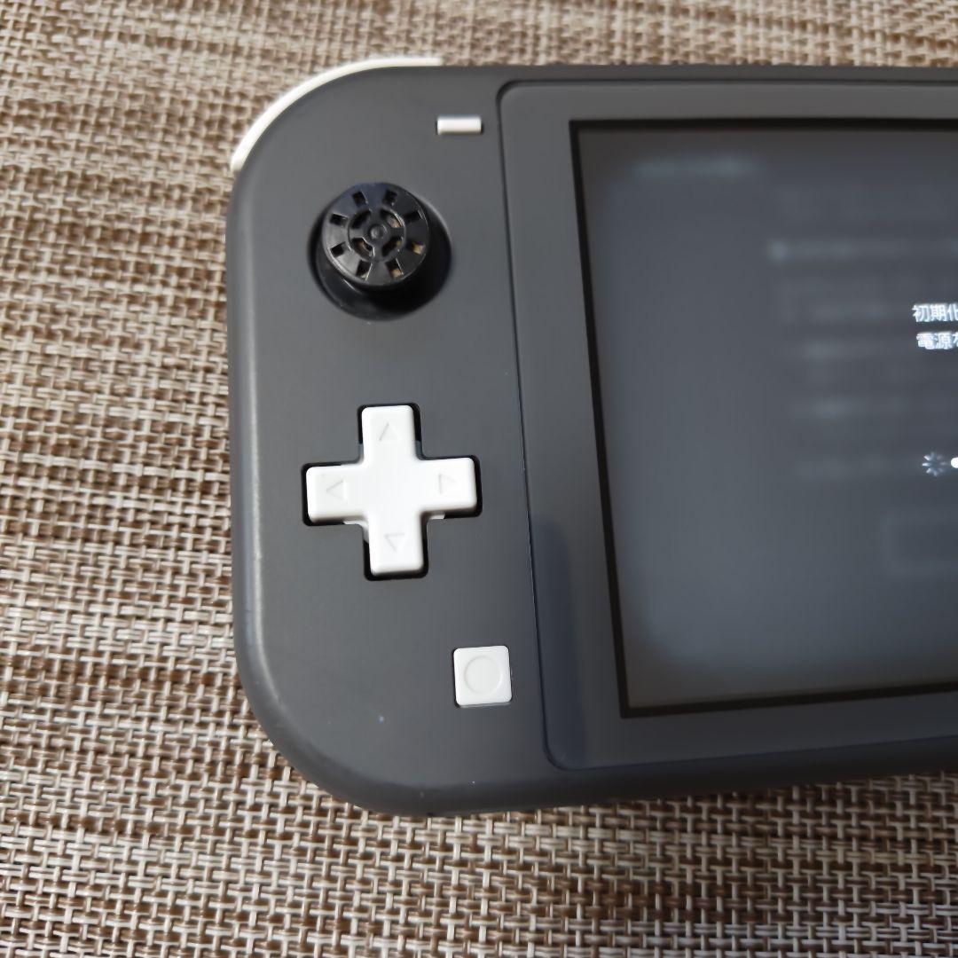 Nintendo Switch Lite グレー 本体 充電器 　スイッチライト