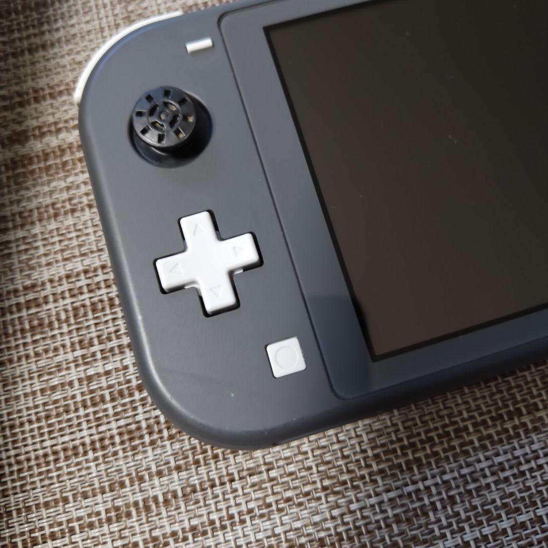 Nintendo Switch Lite グレー 本体 充電器 　スイッチライト