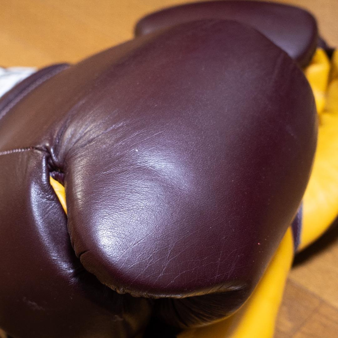 CASANOVA カサノバボクシンググローブ 14OZ