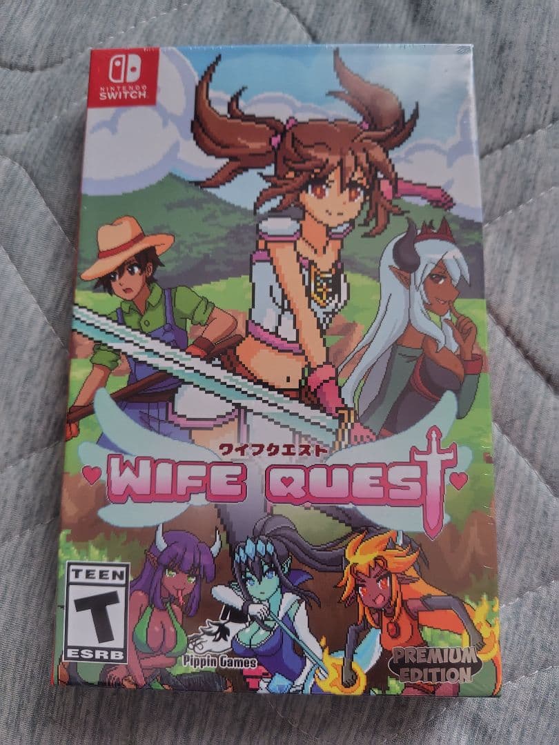 ☆セール☆WIFE QUEST Nintendo Switch