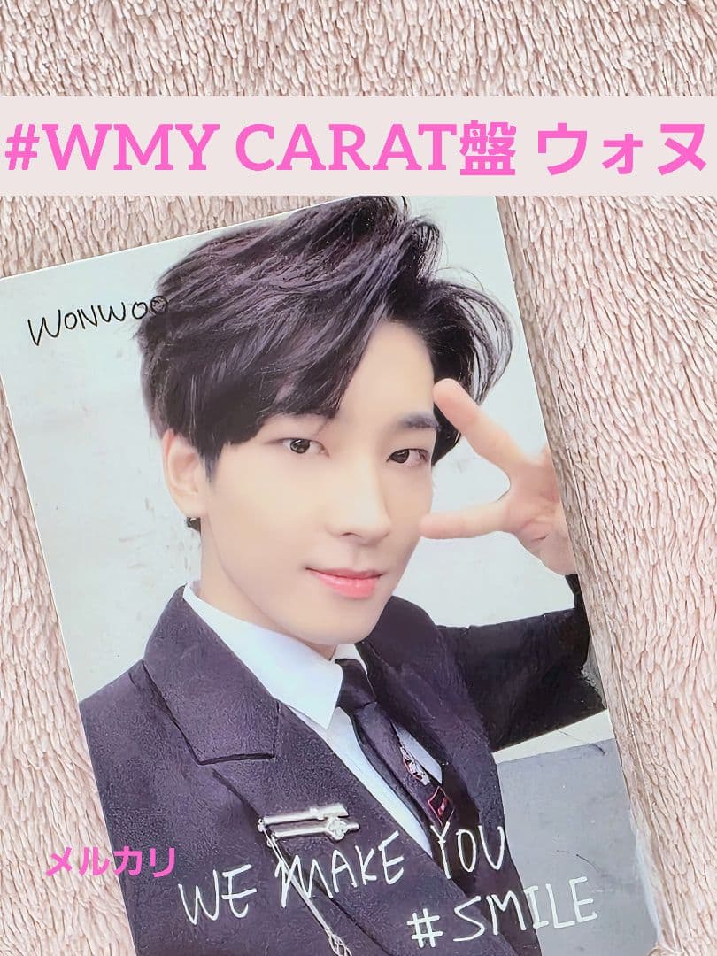 seventeen we make you carat盤 ウォヌ