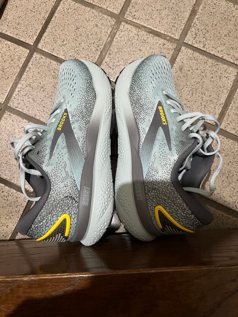 ブルックス　ゴースト16 メンズ25.0cm