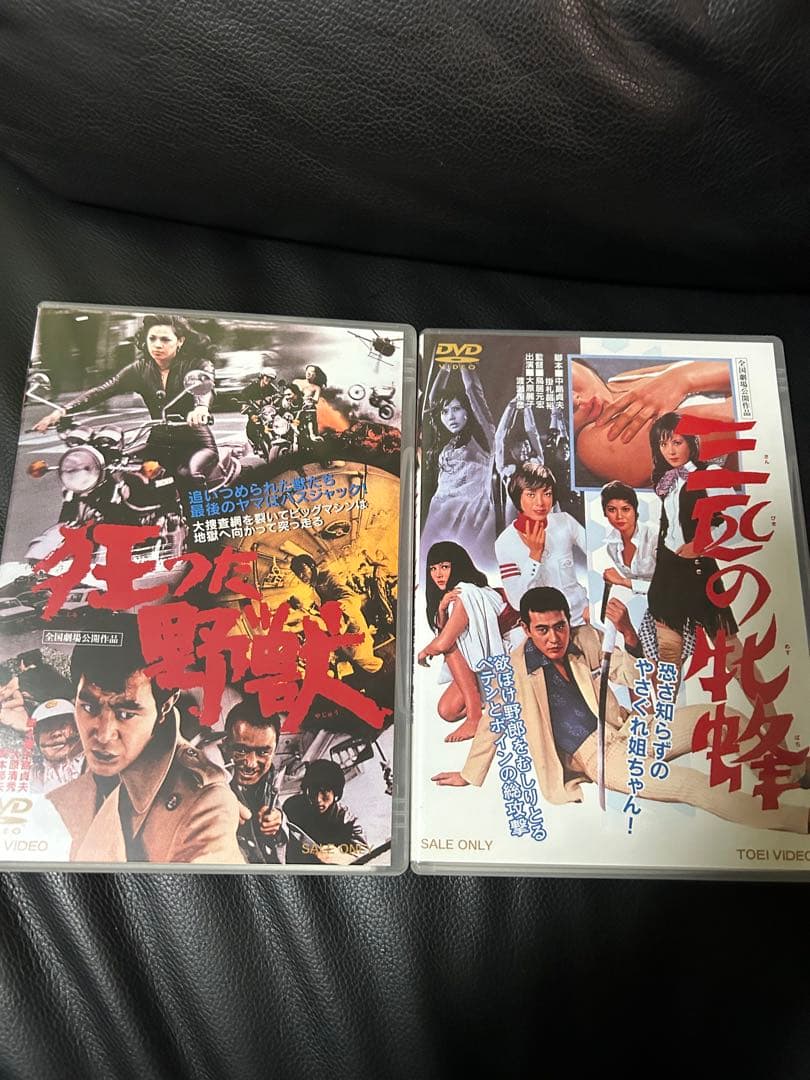 DVD4本　渡哲也　渡瀬恒彦　兄弟セット　ゴキブリ刑事　三匹の牝蜂