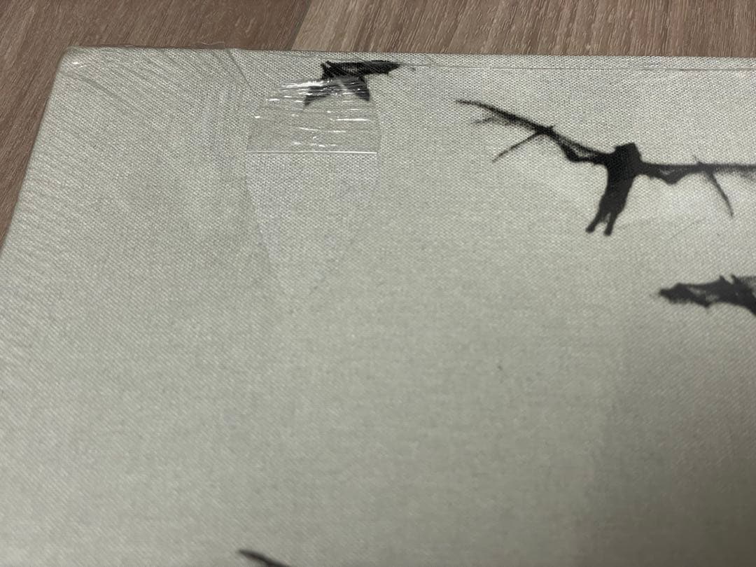 Trent Parke: Minutes to Midnight未開封新品