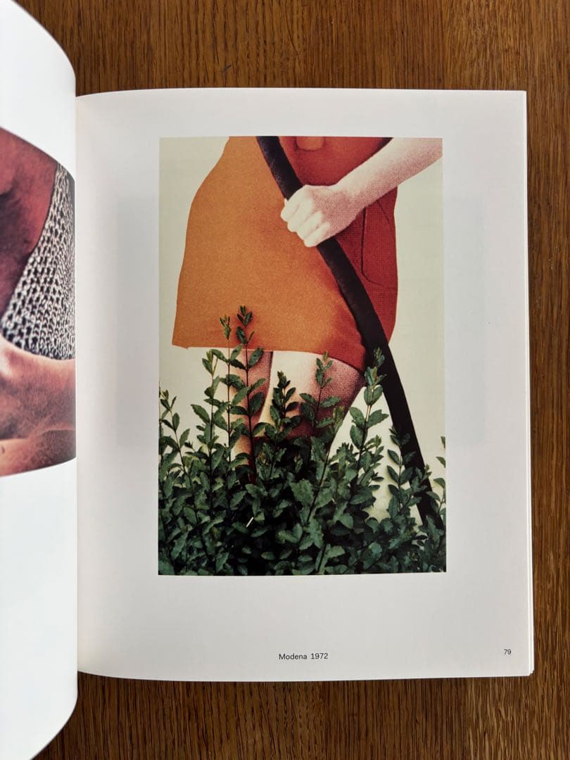 ルイジ・ギッリ The Map and the Territory