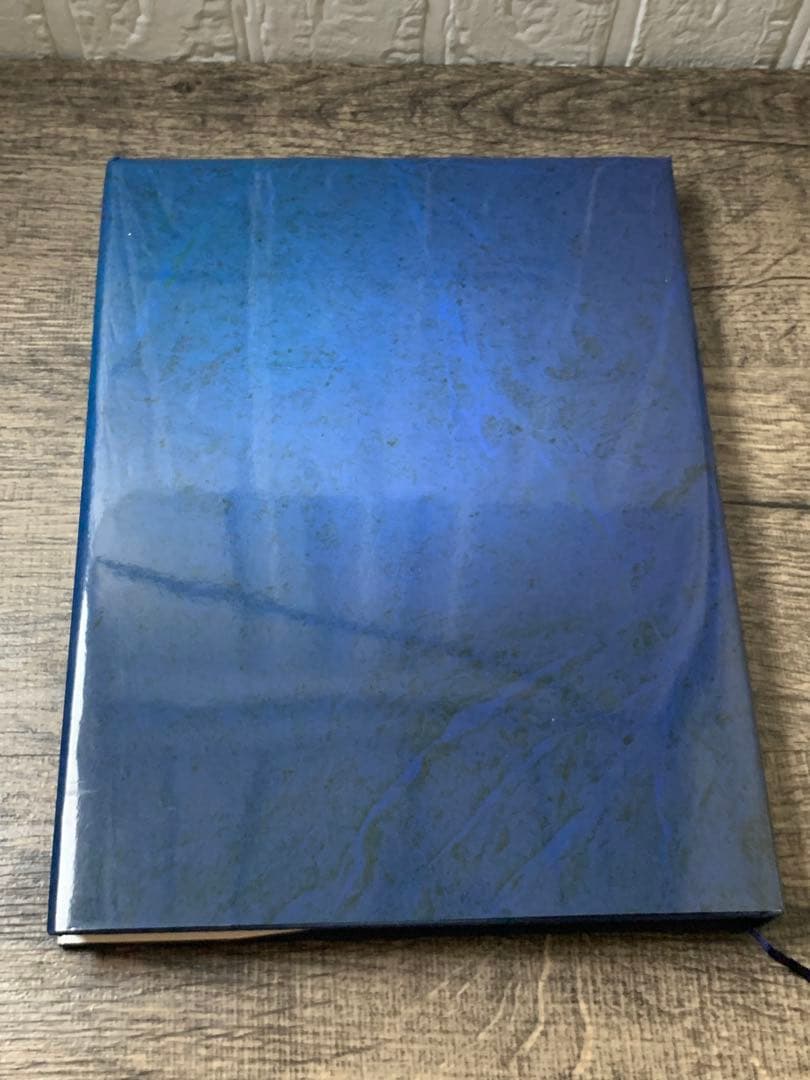 最終値下げ 誰にでもできる下顎総義歯の吸着 : カラーアトラス