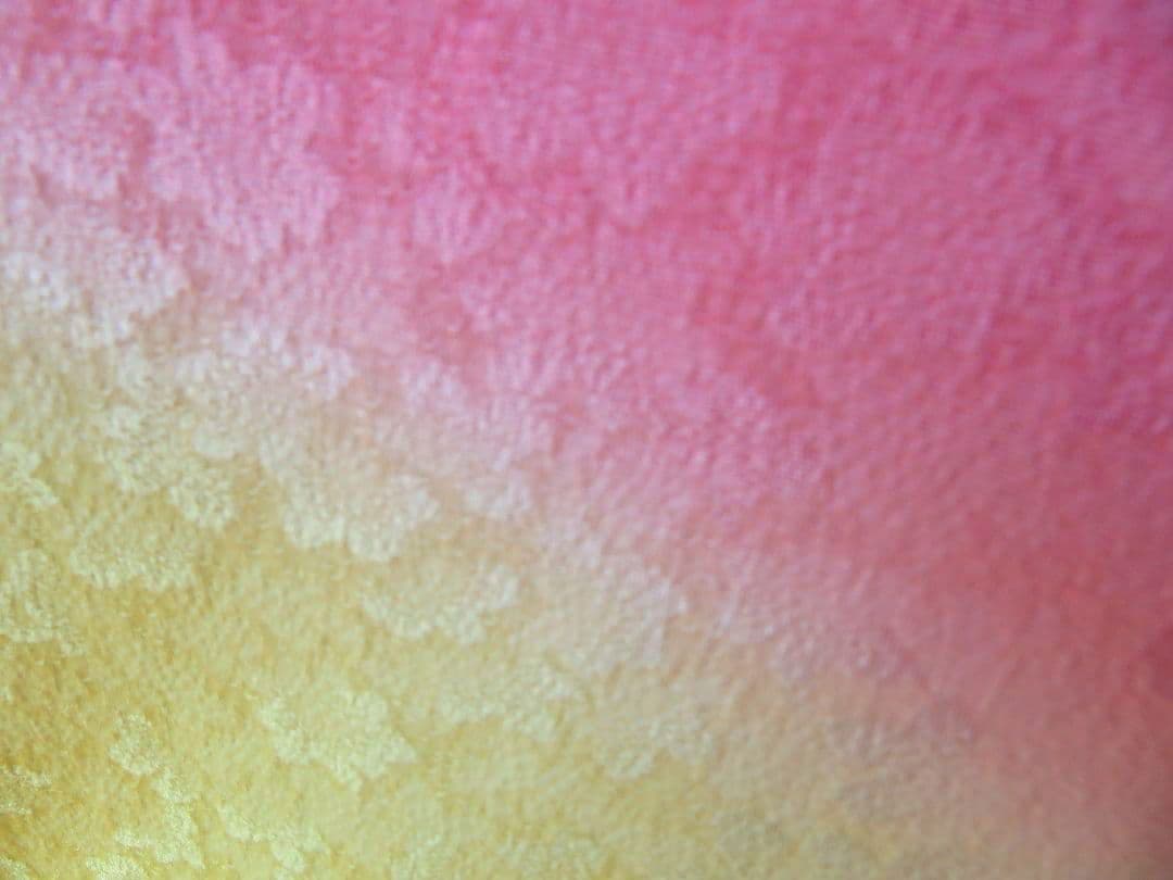 はなちゃん　5199・5198 振袖単品 2点おまとめクレージュ 同柄揃