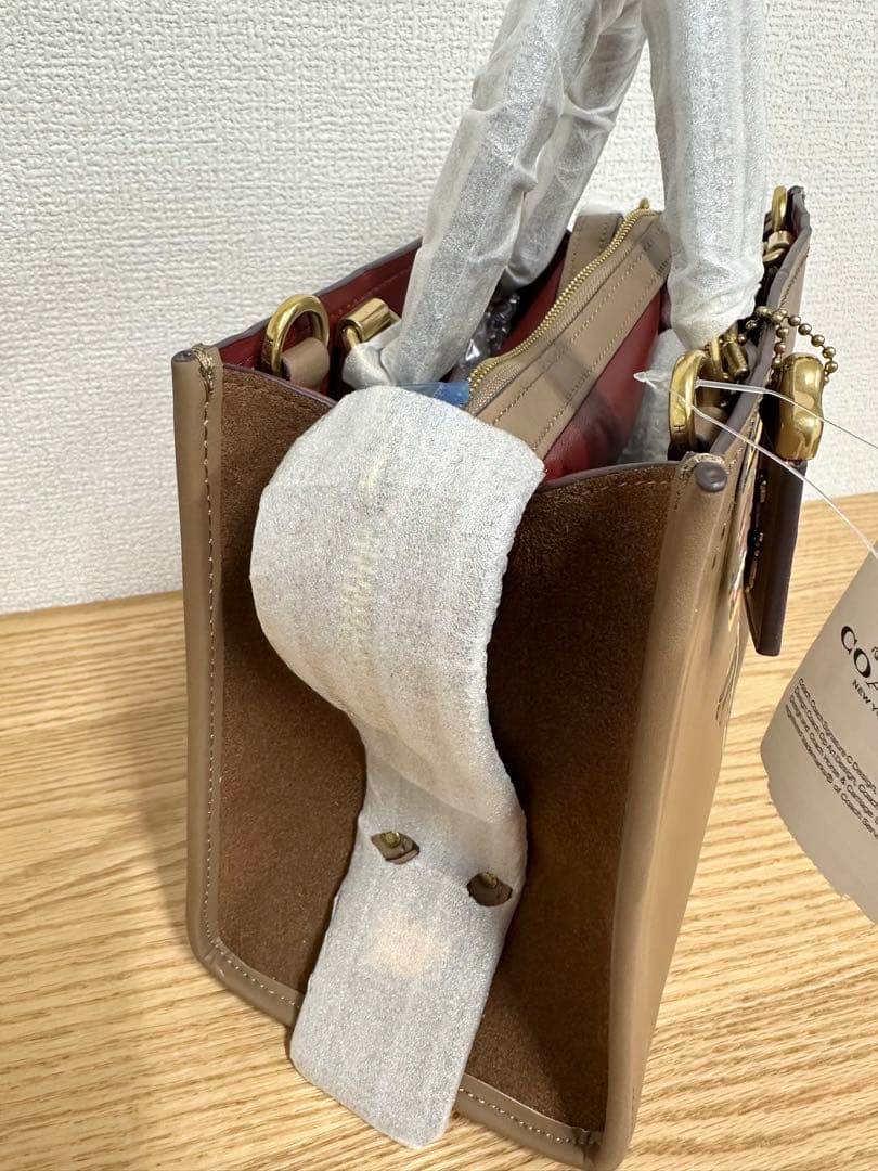 Pokimane COACH コーチバスキア コラボ 恐竜 ハンドバッグ