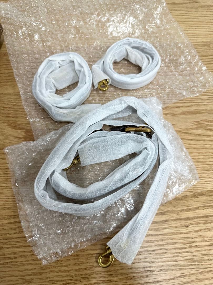 Pokimane COACH コーチバスキア コラボ 恐竜 ハンドバッグ