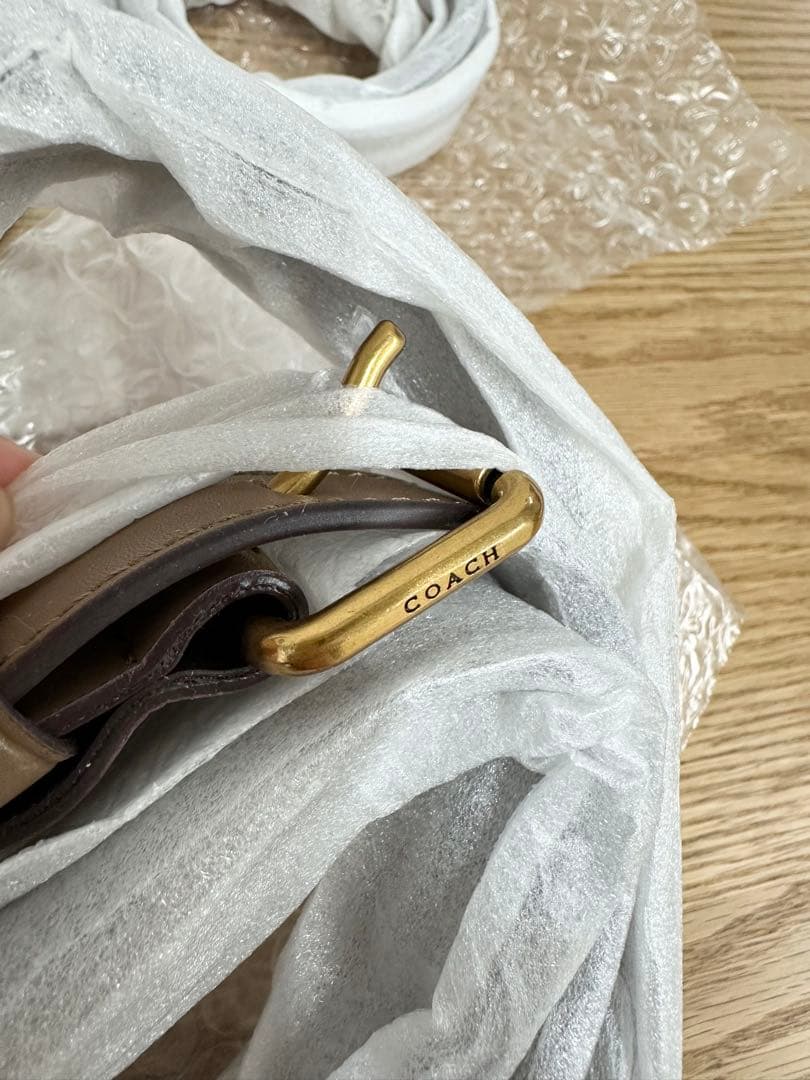 Pokimane COACH コーチバスキア コラボ 恐竜 ハンドバッグ