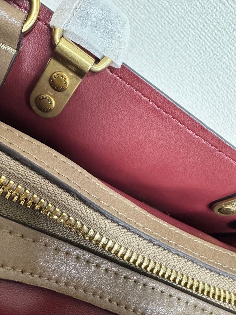 Pokimane COACH コーチバスキア コラボ 恐竜 ハンドバッグ