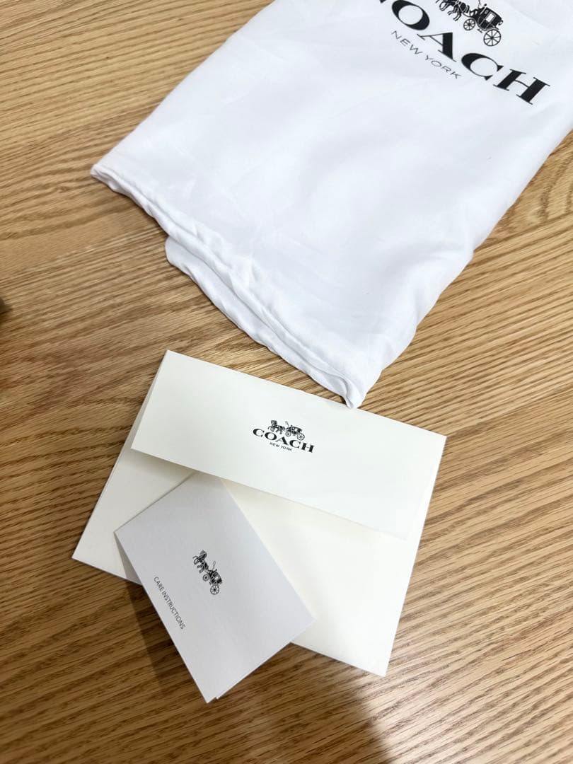 Pokimane COACH コーチバスキア コラボ 恐竜 ハンドバッグ