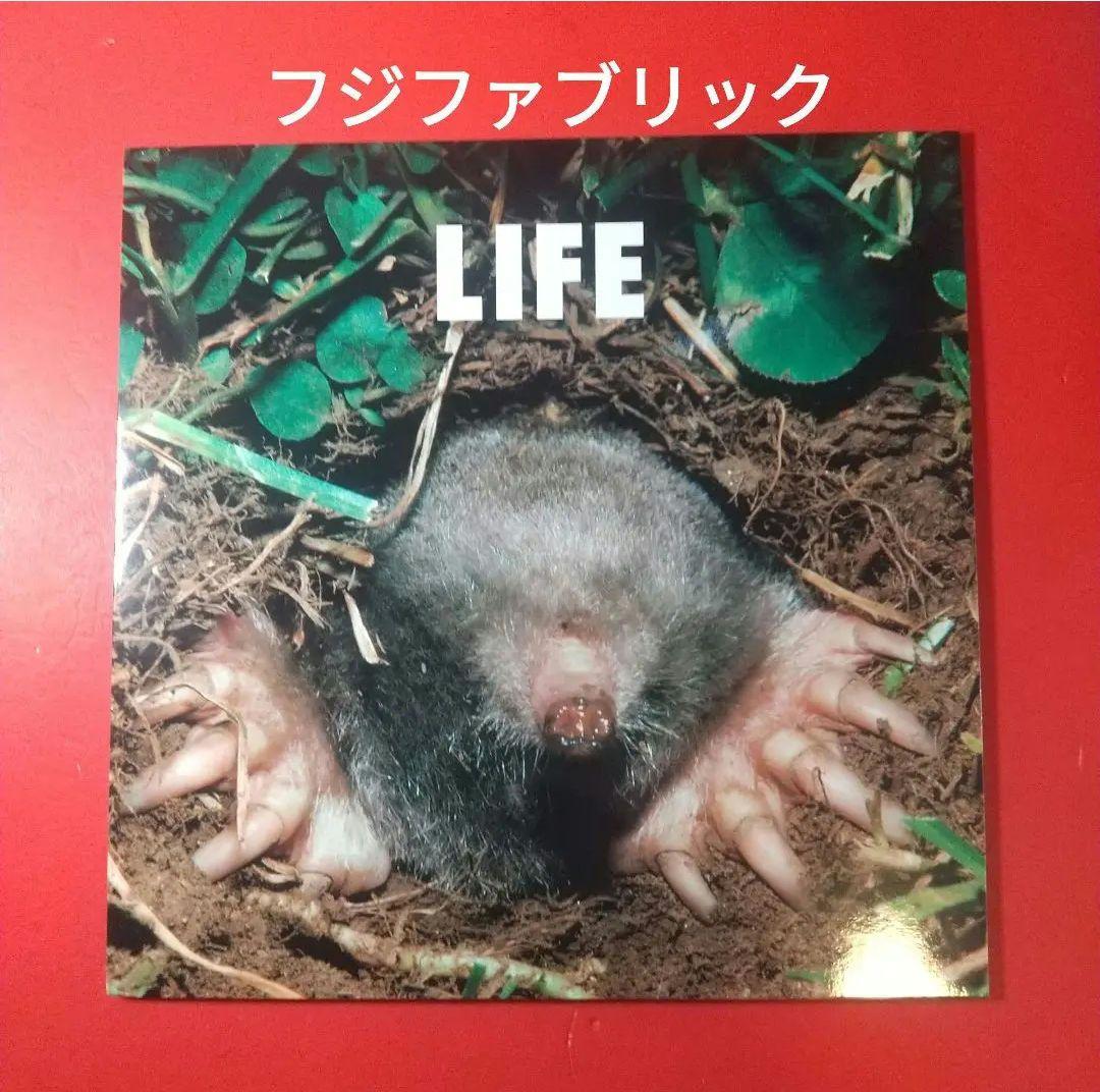 fujifabric フジファブリック LP レコード life