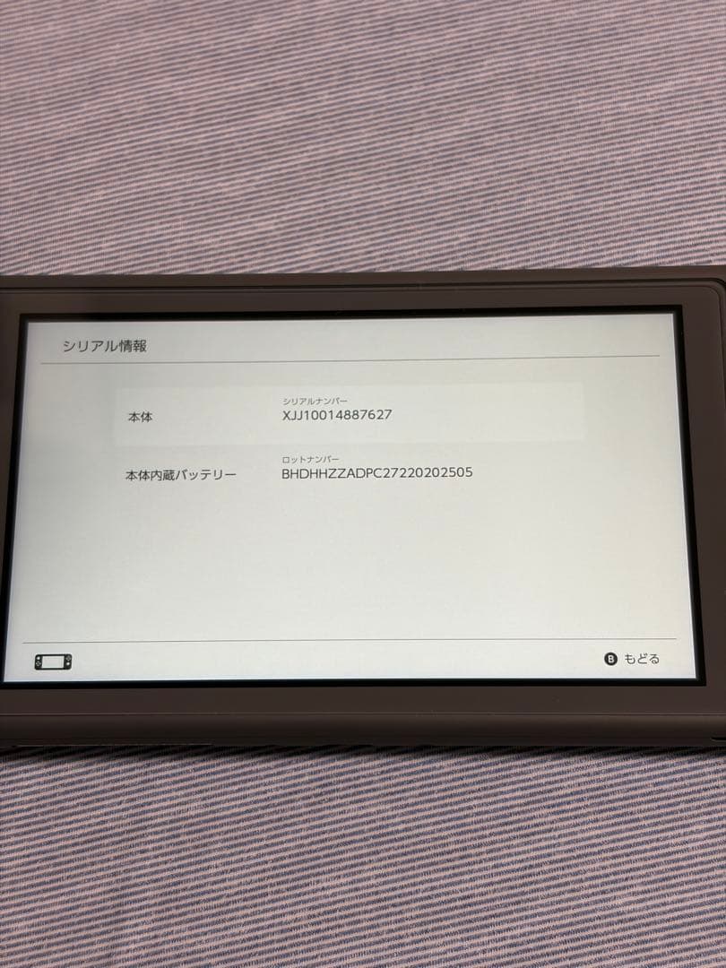 Nintendo Switch Lite グレー 保護ポーチ付き