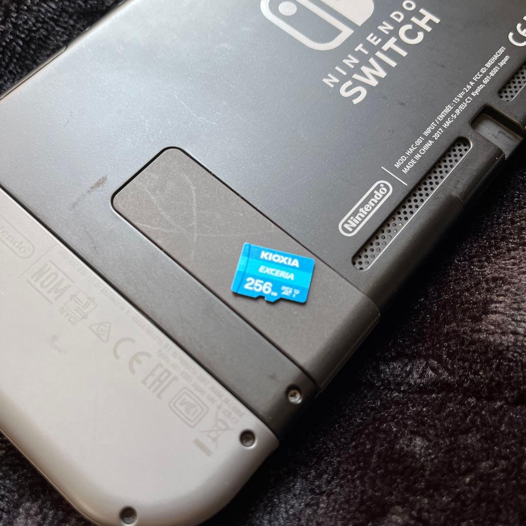Nintendo Switch 本体セット＋SDカード(256GB)+2点