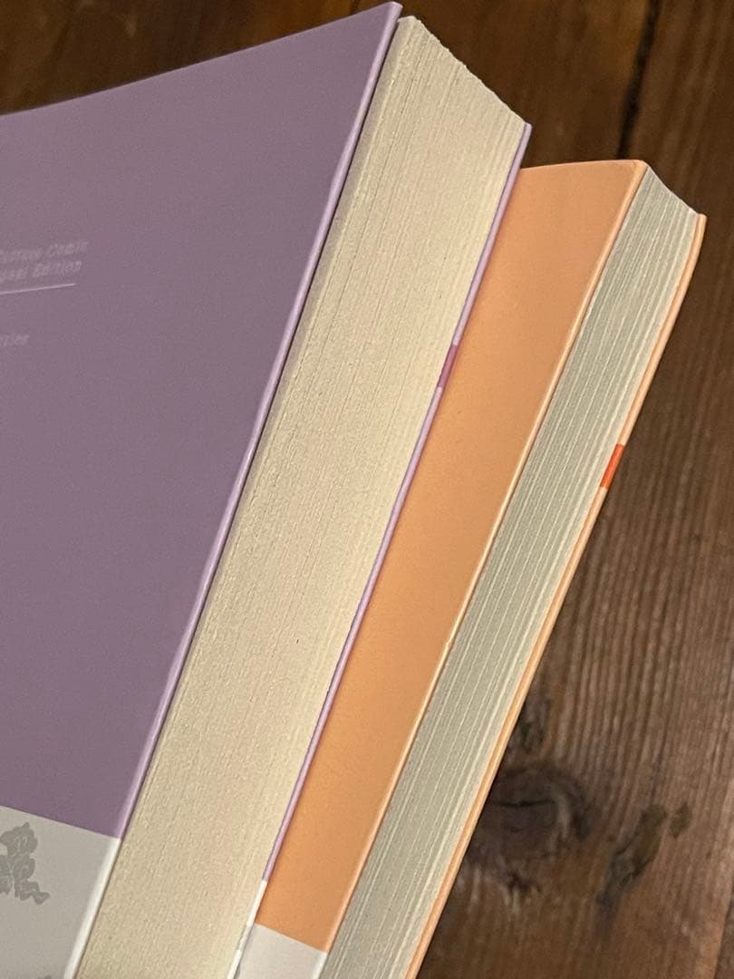 [中英翻訳版・レア] ★老荘思想本2冊セット★蔡志忠まんが