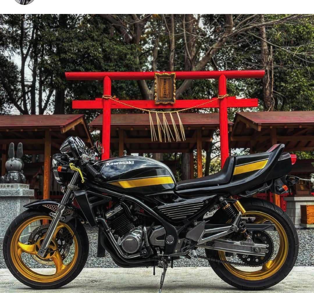 セレクトタイプ　中古シングルシートカウル　汎用？　バリオス　旧車　カフェ