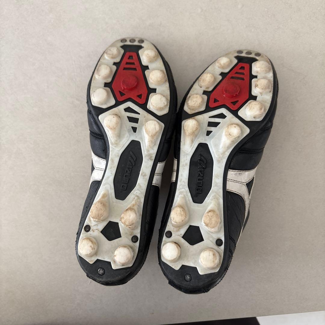 モレリア2 23 ㎝