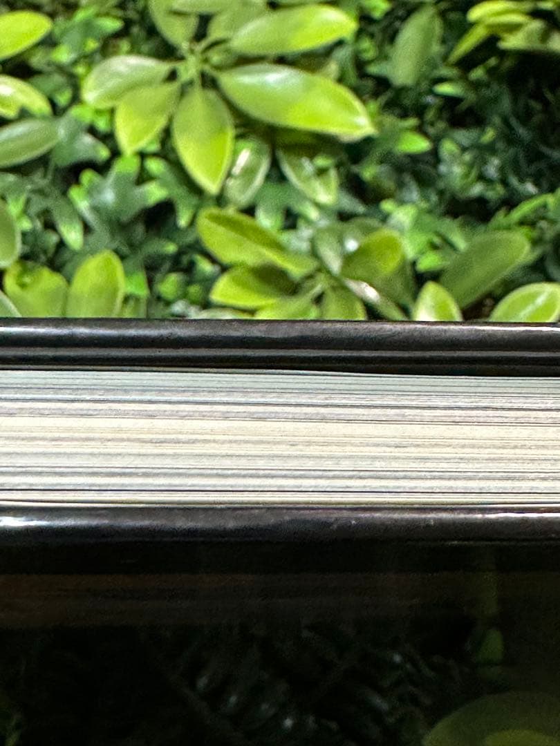 MOEBIUS FUSIONS メビウス 画集 洋書 Casterman