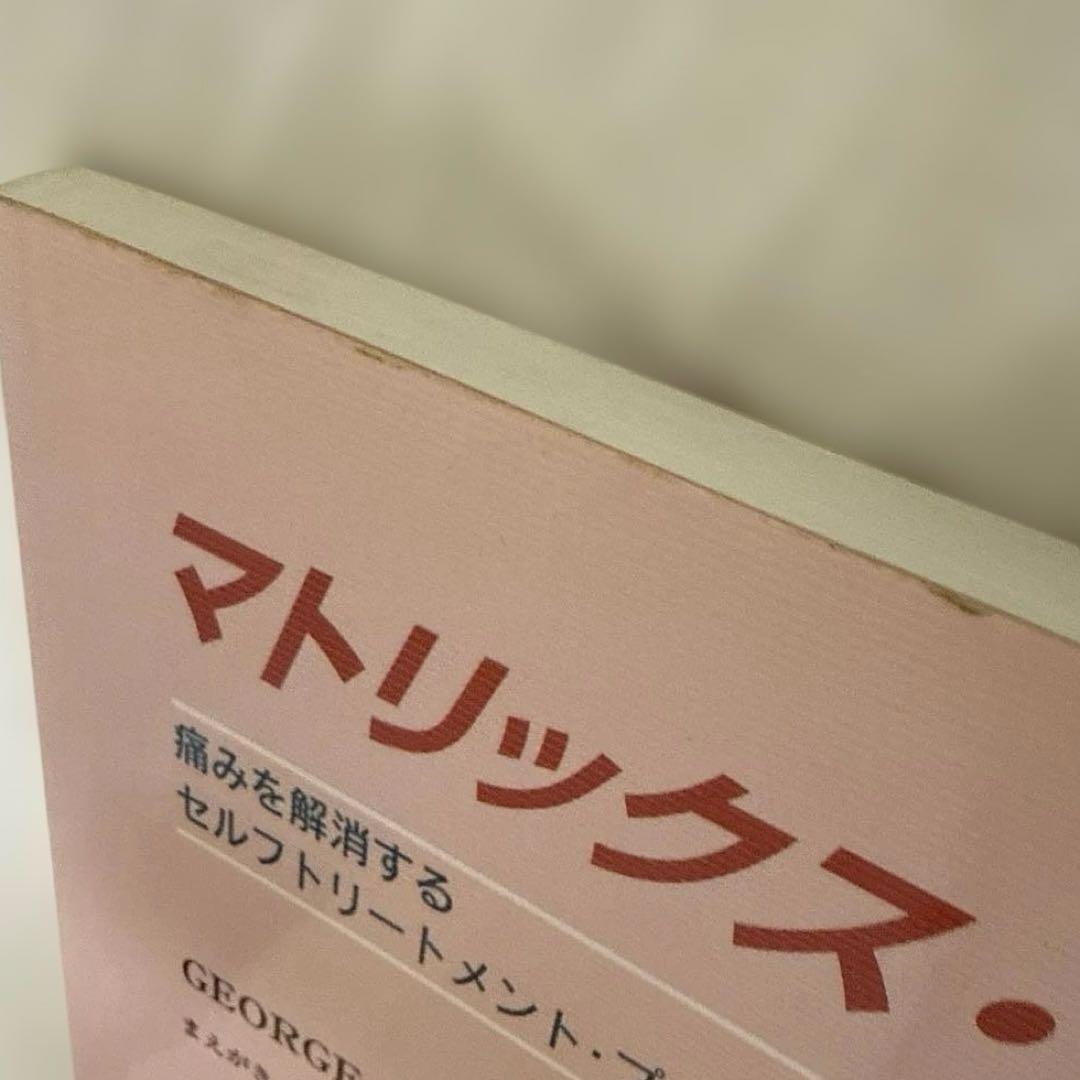 【絶版】マトリックス・リパターン