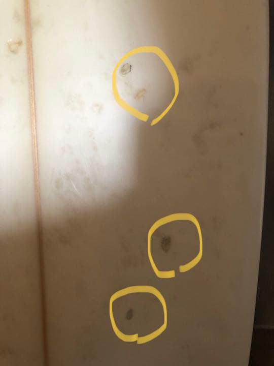 ステイシー　STAYCE サーフボード　フードラム