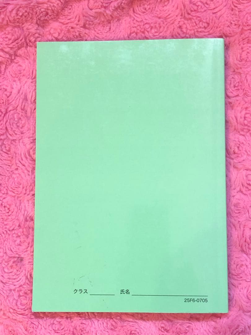 【最新版 2025年度】鉄緑会　高3　物理の登竜門　2冊セット