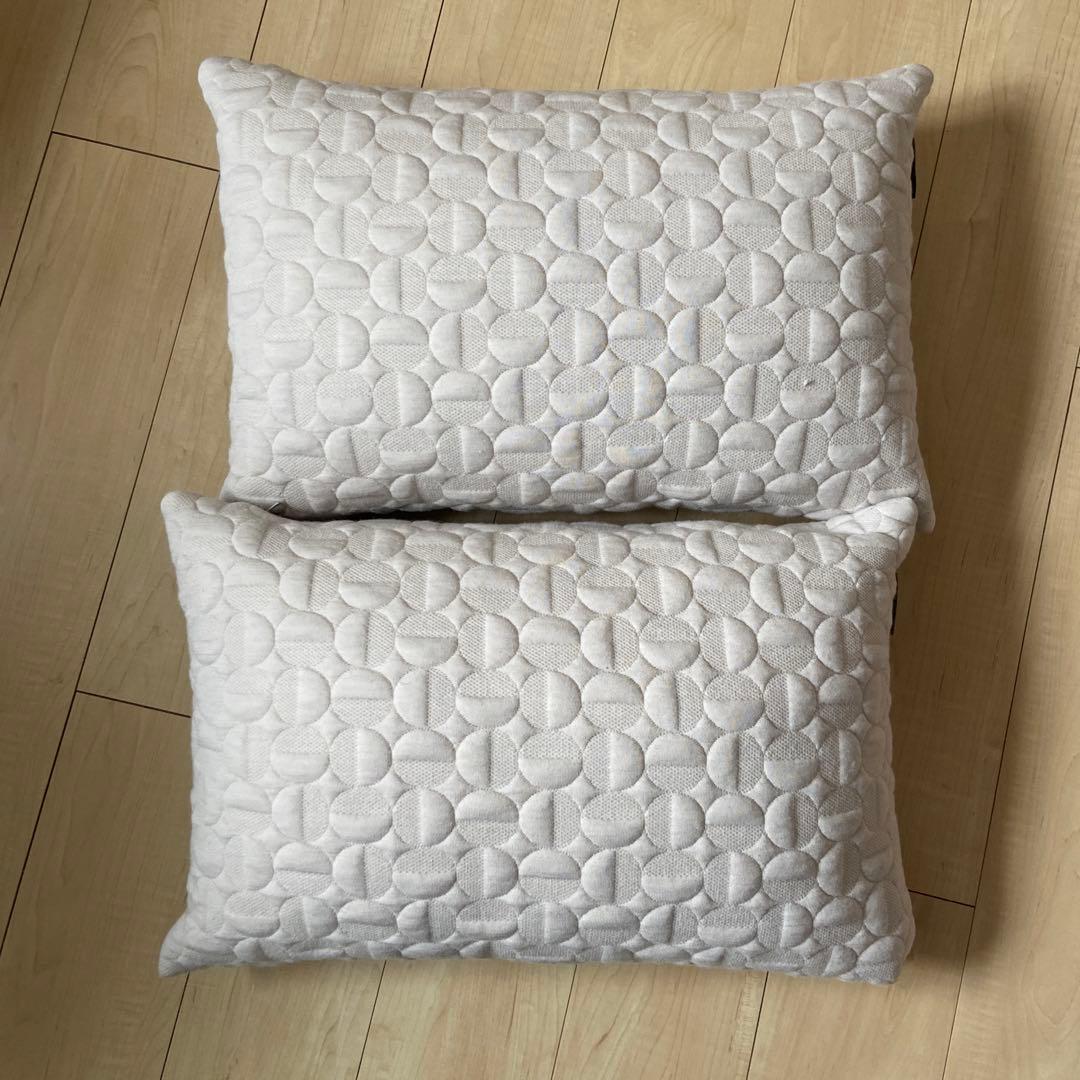 CUSHION ARNE JACOBSEN VERTIGO 2個セット