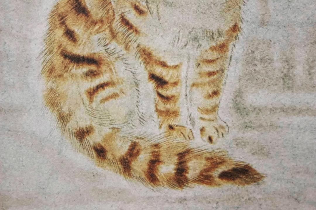 藤田嗣治 エスタンプリトグラフ「茶色い猫」 75部限定