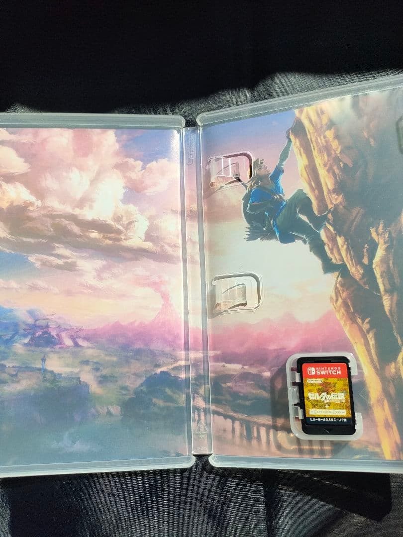 ゼルダの伝説 ブレス オブ ザ ワイルド　エキスパンション　パス