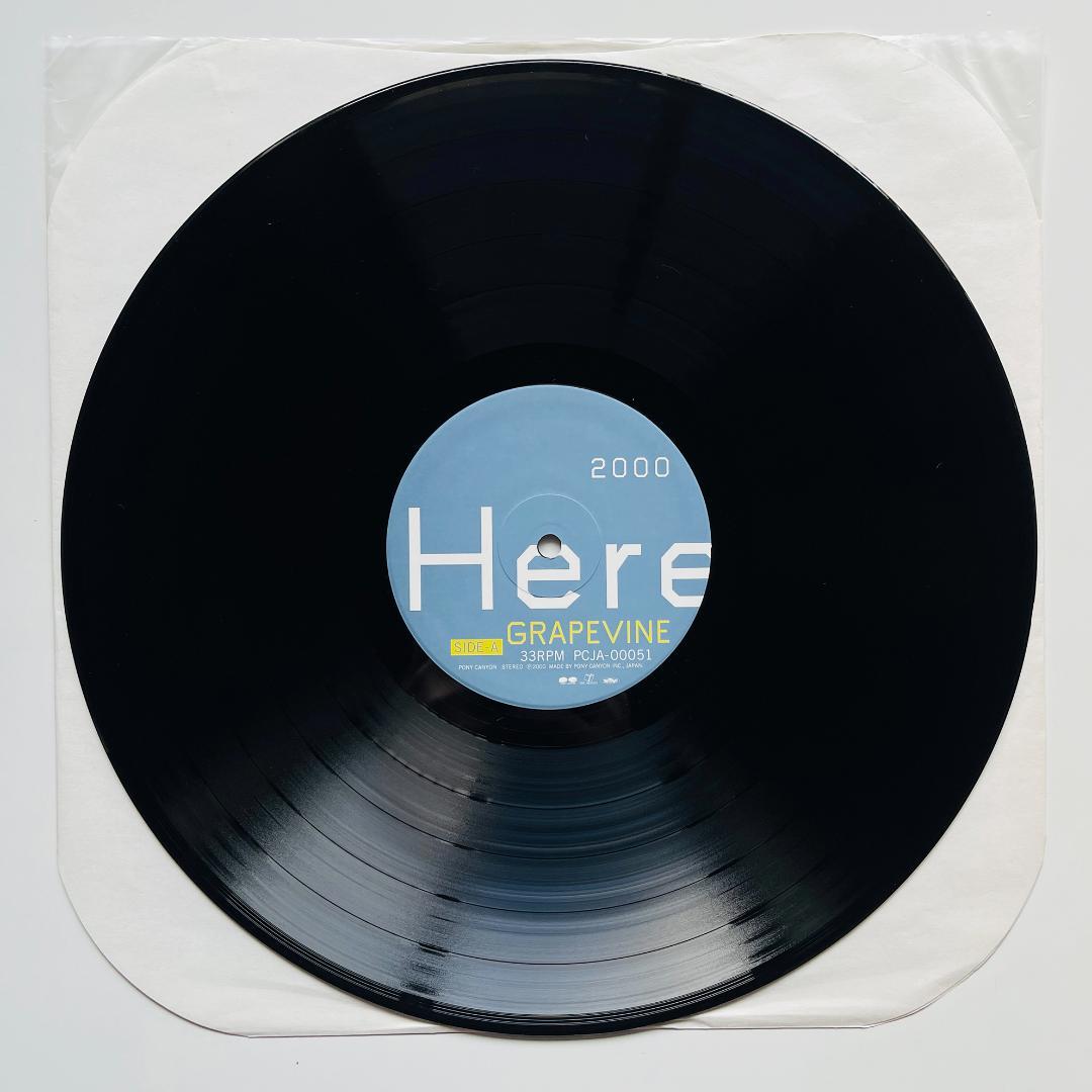 稀少 レコード〔 GRAPEVINE - Here 〕グレイプバイン