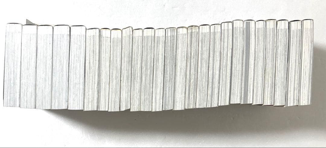 【豪華25冊】「銃夢」新装版 講談社版全巻＋Last Order全巻＋外伝