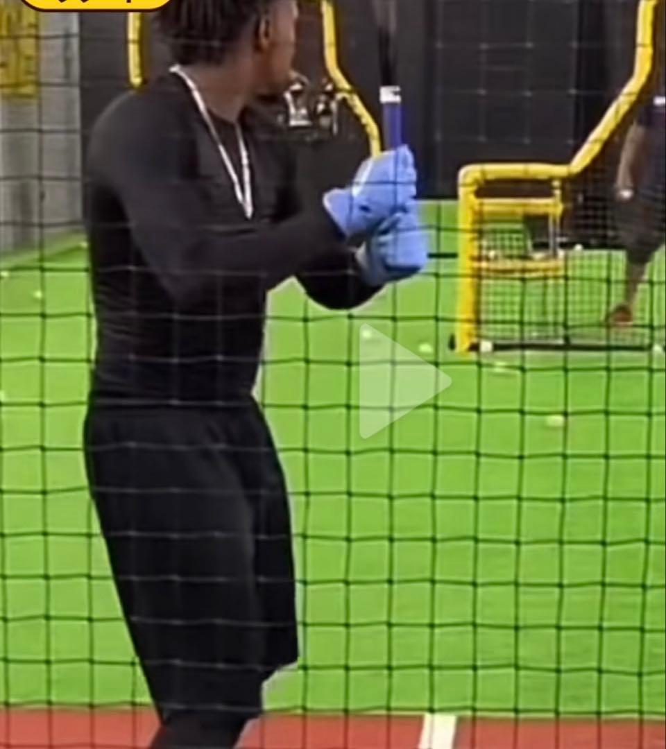 レア ナイキ バッティンググローブ nike メジャーリーガー