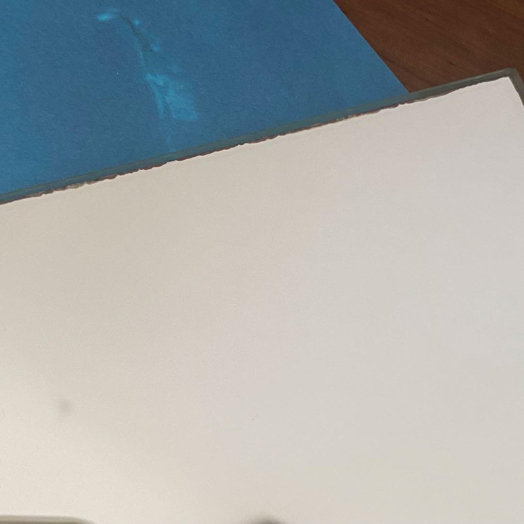 SWAROVSKI スワロフスキー クリスタル ワンダーオブザシー 置物