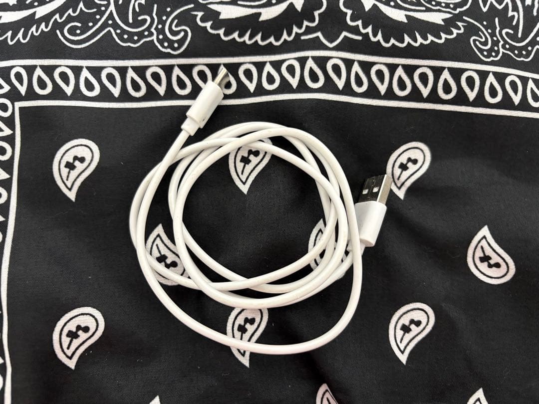 ニンテンドーSwitchrite モンハンライズ、SDカード、タイプCコード付き