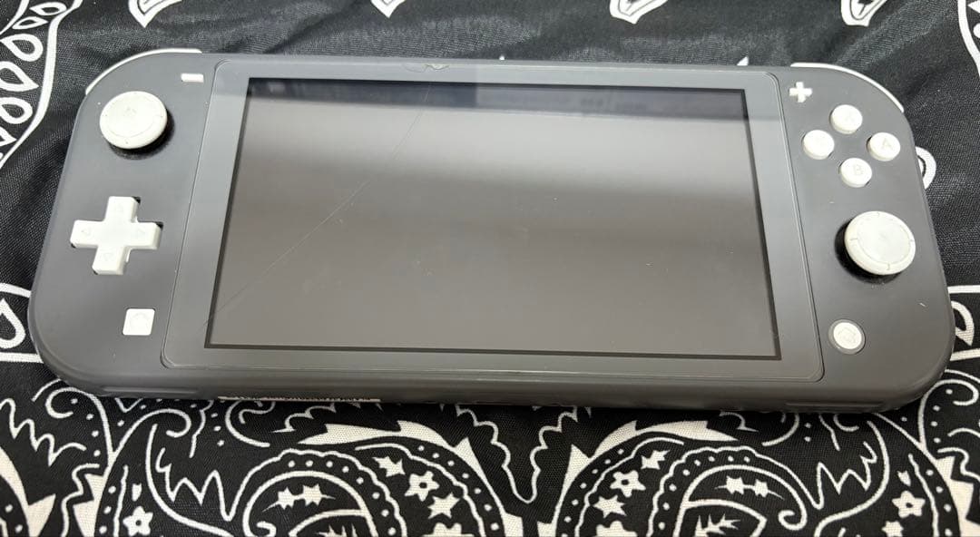 ニンテンドーSwitchrite モンハンライズ、SDカード、タイプCコード付き