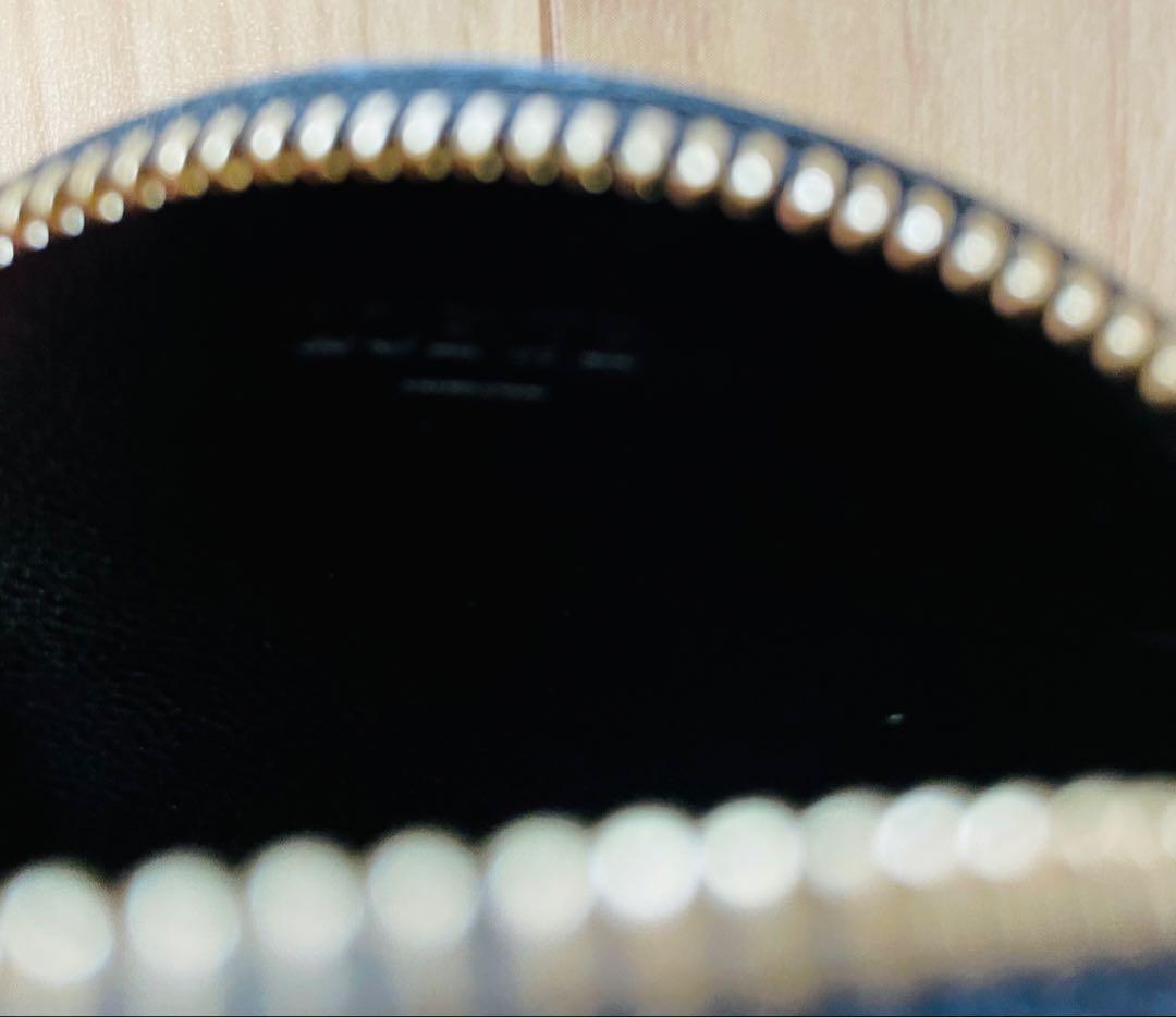 未使用/匿名配送　ロエベ　ケース