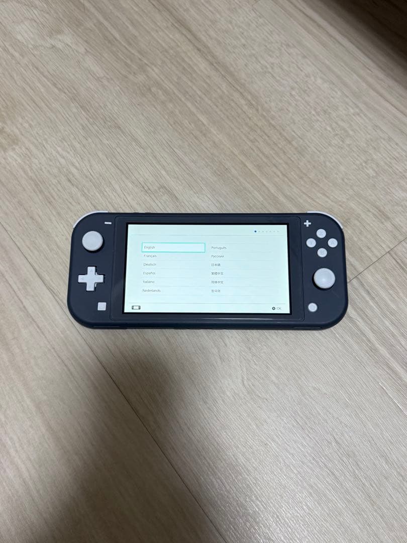 Nintendo Switch Lite グレー 純正充電器 箱なし