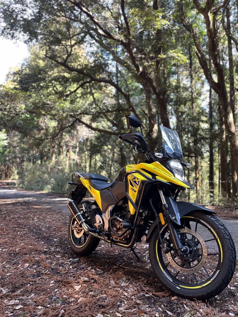 Vストローム250sx ジクサー250 マフラー リアルスピード クーガ