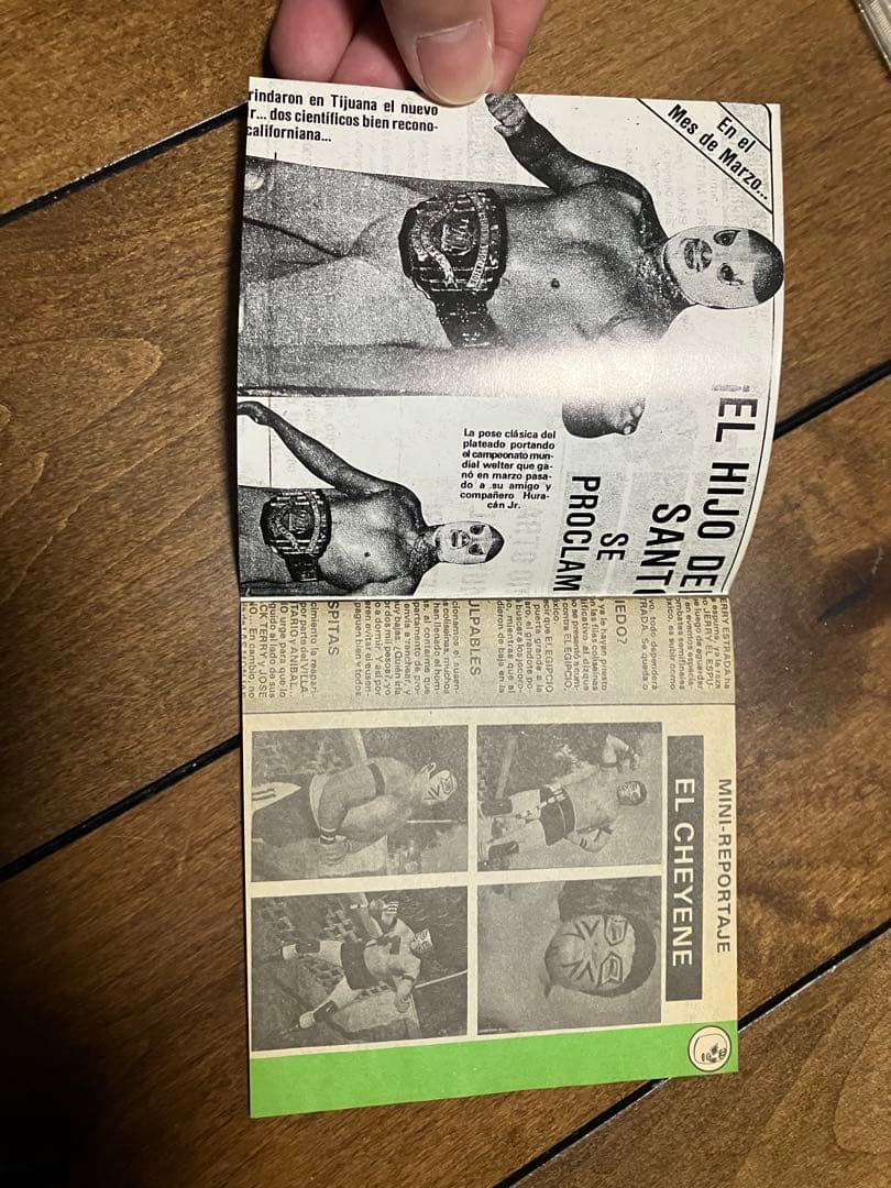 Mi Caballito Chulo.Como Lo Quie Ro覆面レスラー