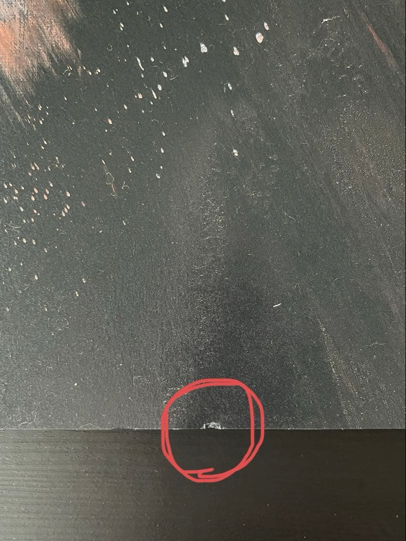 井田幸昌 PANTA RHEI 展覧会公式図録