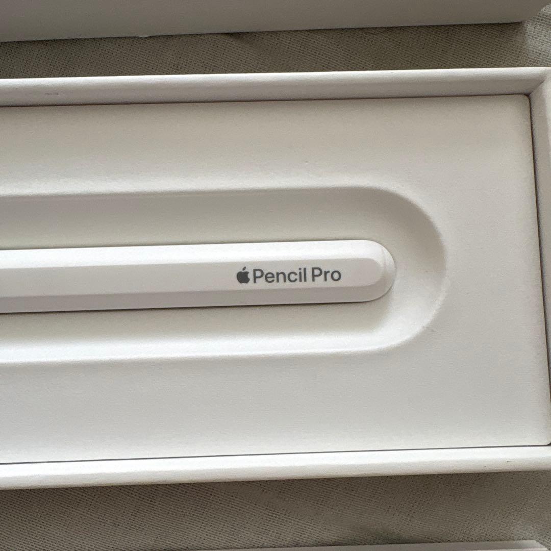 Apple Pencil Pro ホワイト 専用ケース付き