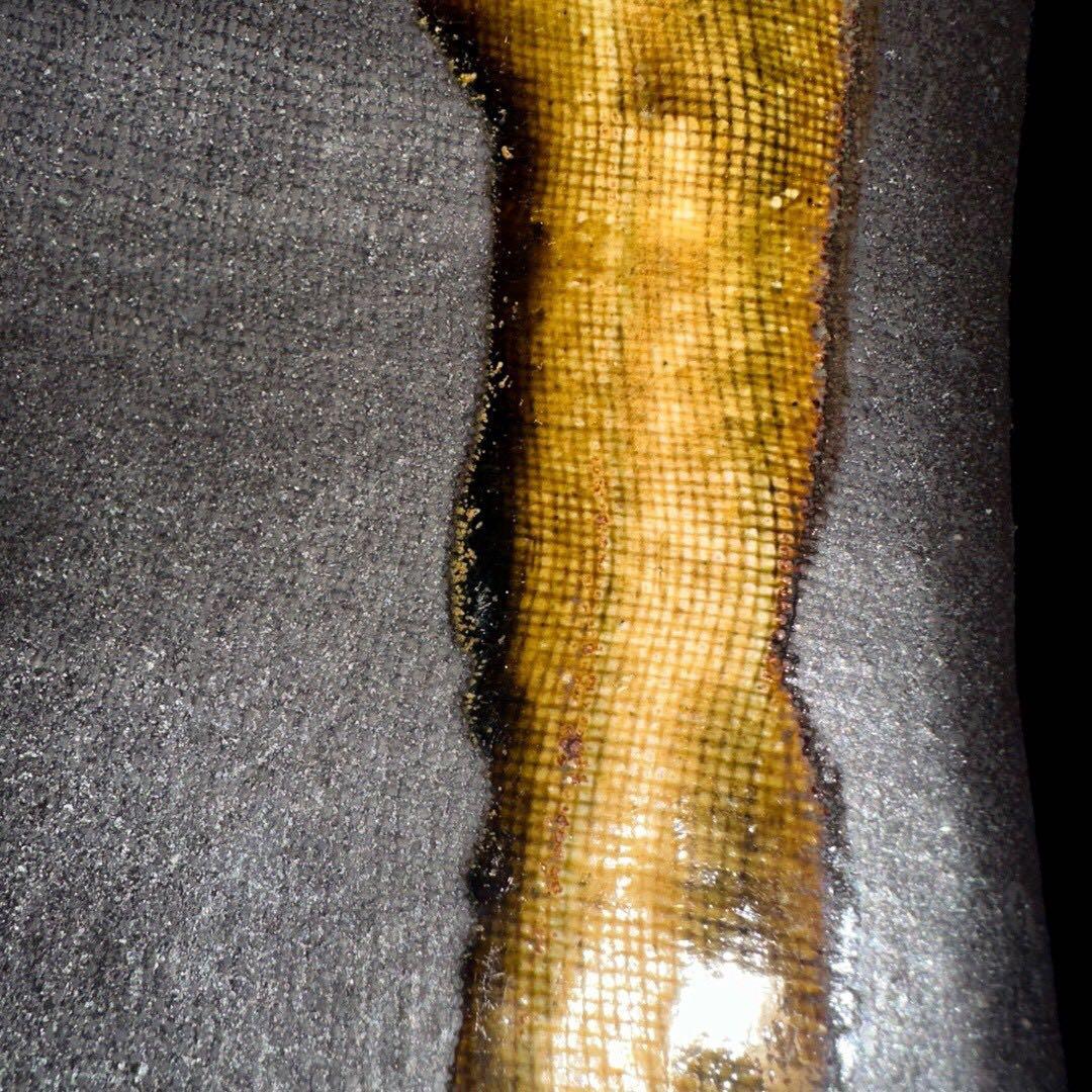 名作家 黒織部 古織部 直径21.5cm 懐石料理 アンティーク 食器 四角皿