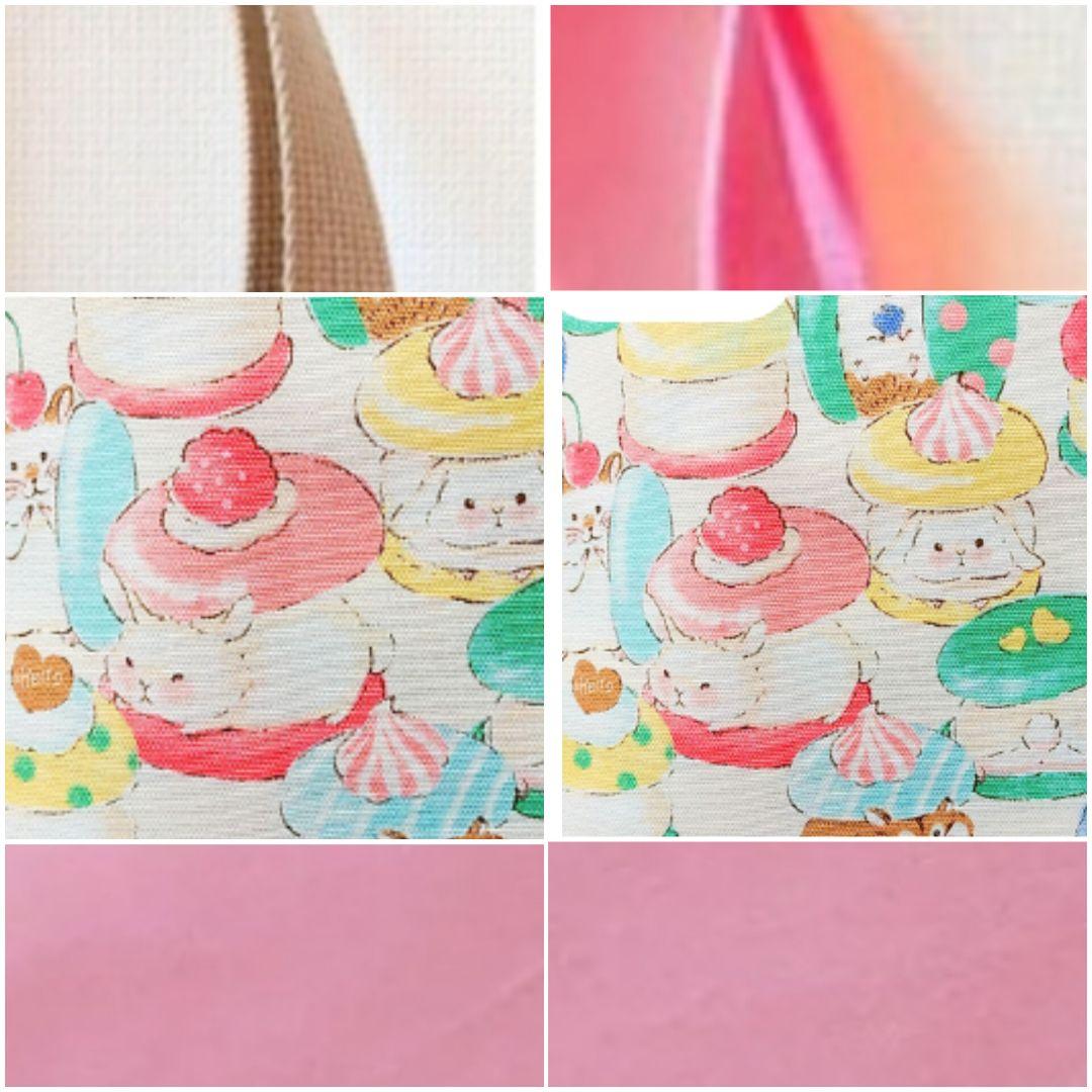 入学 ハンドメイド レッスンバッグ 女の子