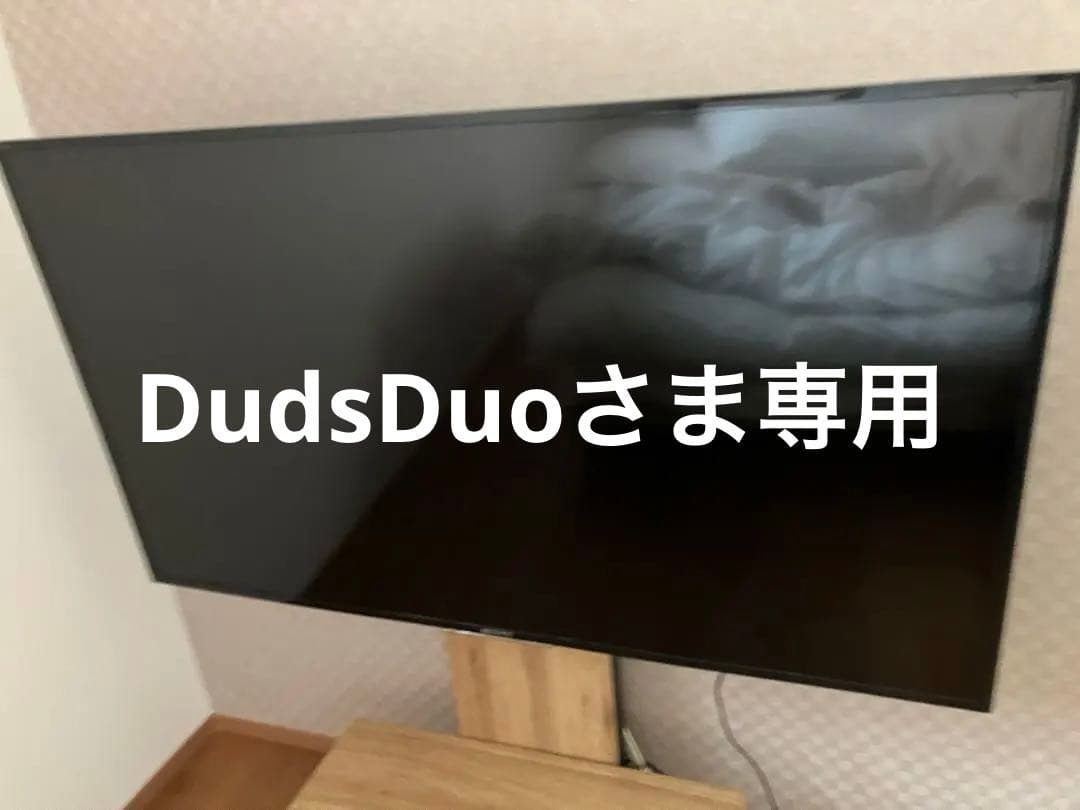 液晶テレビ 大画面