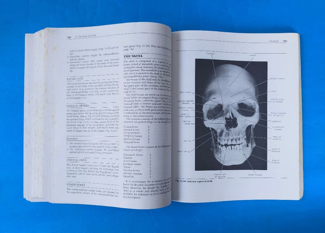 激レア❗希少❗貴重❗医学生のための臨床解剖学 医学書 掘り出し物❗